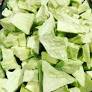 Honey Dew Melon